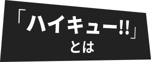 「ハイキュー!!」 とは